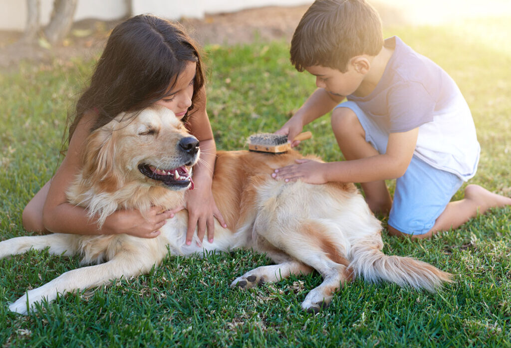 pet and kid friendly pest control