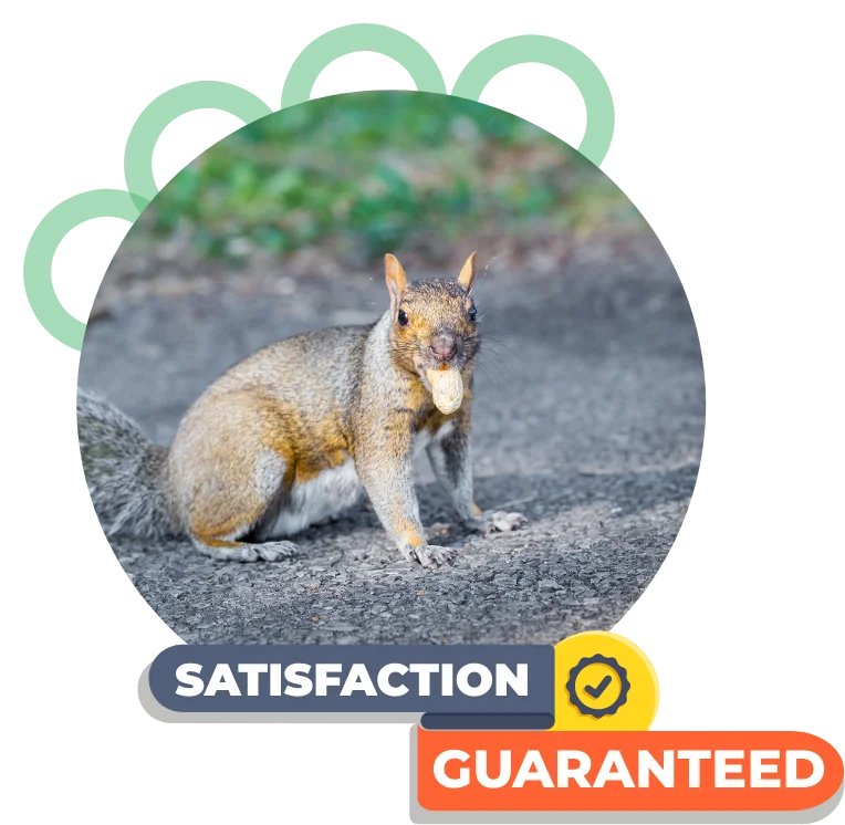 traditional and organic pest control services