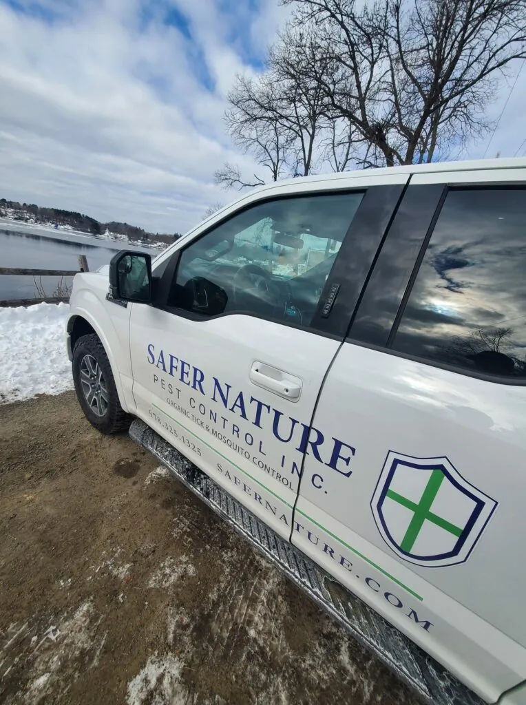 Boxford pest control