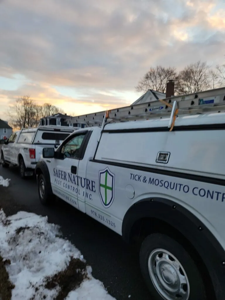 Pest control in Georgetown, MA