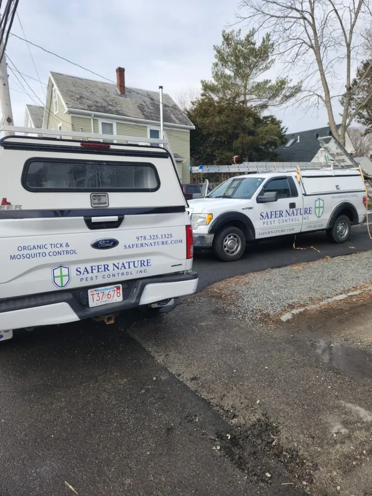 Wenham pest control