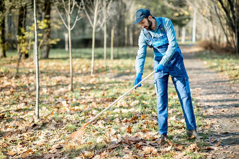 Tick and Mosquito Company Massachusetts