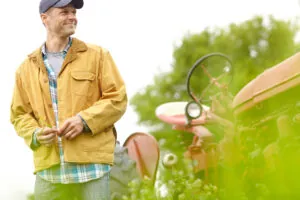 No Chemical Extermination: Safe Pest Control for Homes in Amesbury, Newburyport, Hamilton, and Wenham