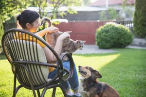 pet-safe pest control