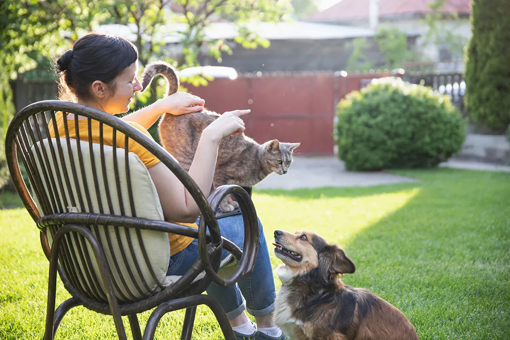 pet-safe pest control