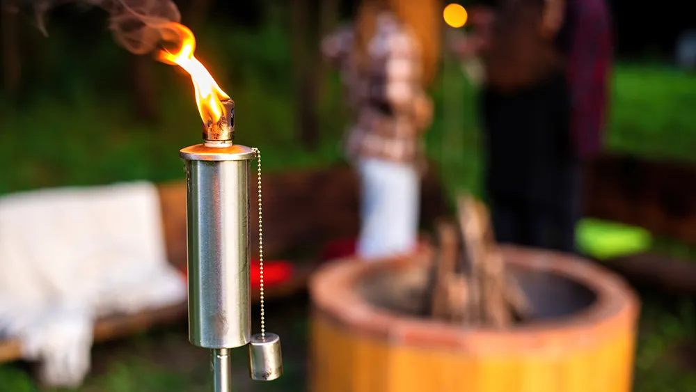 Mosquito Control Near Me