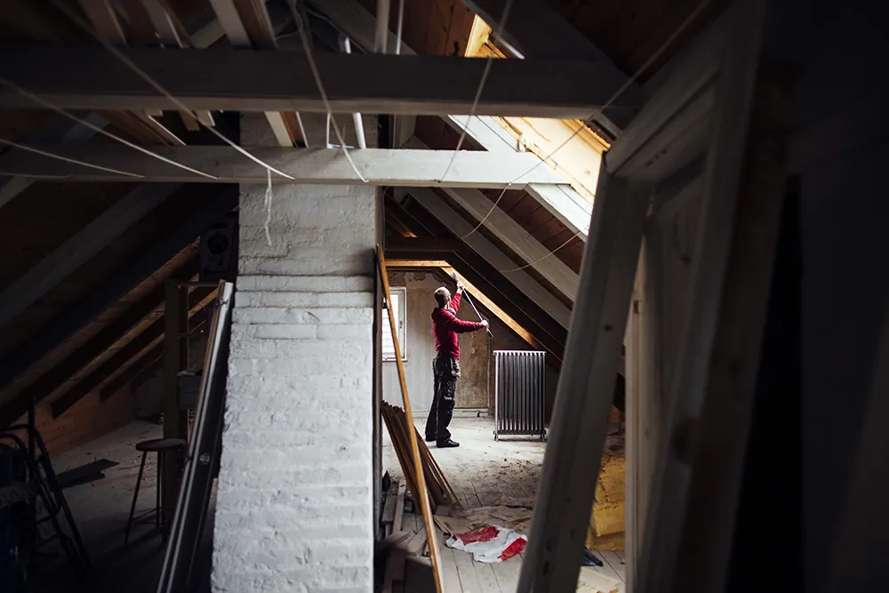 bats in attic Massachusetts